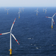 Wind turbines stand in the Baltic 1 offshore wind farm near Germany.